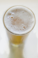 Glass of fresh cold beer with cap of foam