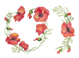 red poppies illustration of watercolor, set, wreath, frame