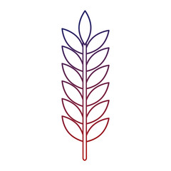 laurel leaf isolated icon