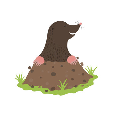 Mole Digging Out of the dirt animal cartoon character