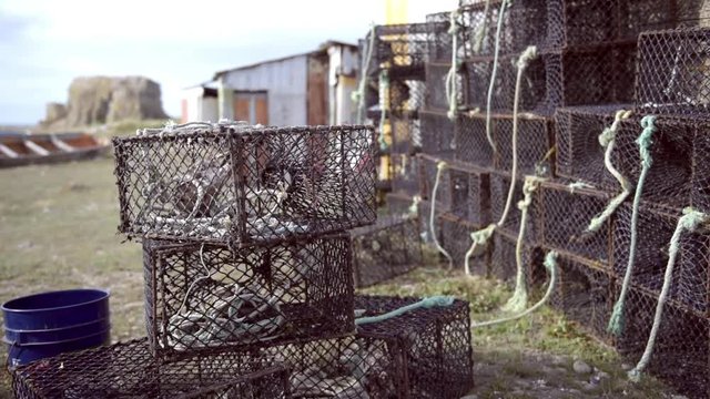 Trampas de cangrejos