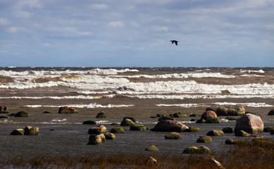 Stormy Baltic sea.