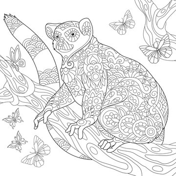 Coloring page of madagascar lemur surrounded by butterflies. Freehand sketch drawing for adult antistress coloring book in zentangle style.