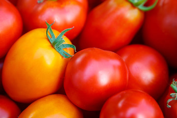 red tomatoes background.