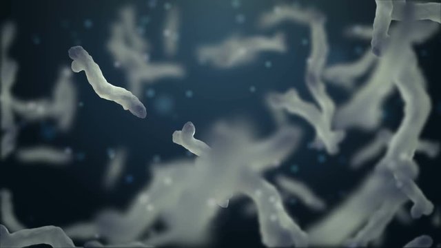 3d rendered video with bacteria.
