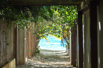 the way to the tropical beach