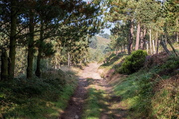 Fototapeta premium The oldest Camino de Santiago in Spain the 