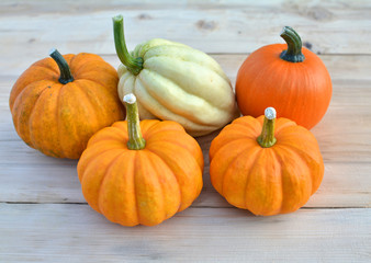Group of pumpkins and squashes