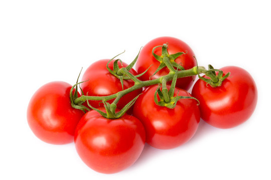 Tomaten freigestellt auf weißem Hintergrund
