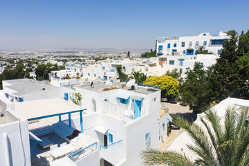Fototapeta na wymiar View of the town Sidi Bou Said