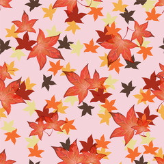 Naklejka na ściany i meble Transparent autumn leaves