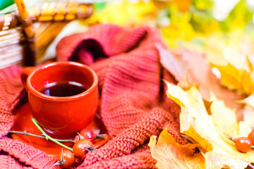Cup of tea, autumn leaves, red scarf. Still life.