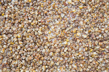 Corn grains background. Dried corn as a background. Top view 