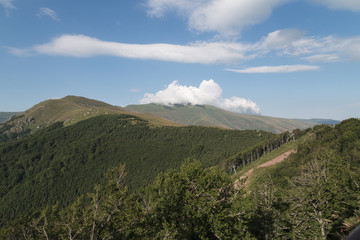Naklejka premium Stara Planina (Serbien)