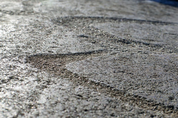  Head of the Swan.Petroglyphs of Lake Onega Cape Besov Nos. Russia, Karelia