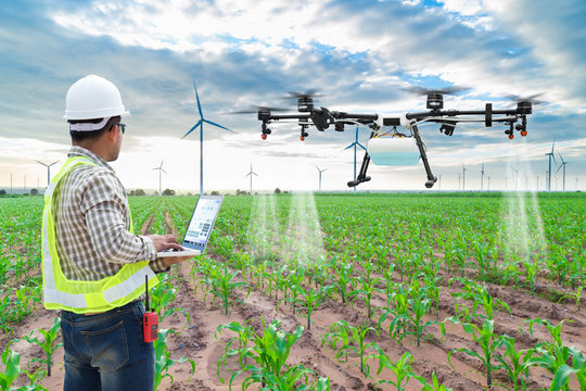 Technician farmer use wifi computer control agriculture drone fly to sprayed fertilizer on the corn fields