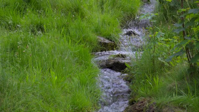 wunderschöner idyllischer klarer Wiesenbach fliesst durch saftige grüne Wiese mit steinen im bachlauf
