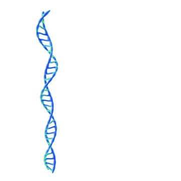 DNA spiral. Isolated on white background. 3D rendering illustration.