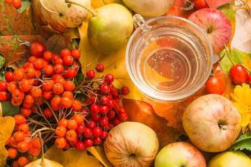 apple cider in the autumn garden with fresh apples