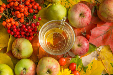 apple cider in the autumn garden with fresh apples