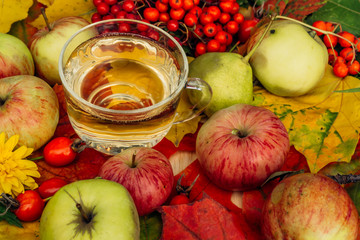apple cider in the autumn garden with fresh apples