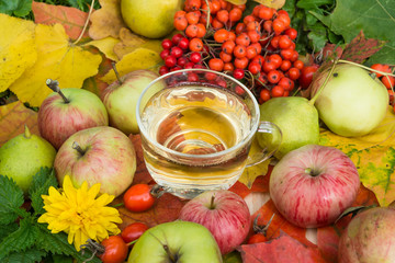 Naklejka na ściany i meble glass of homemade apple cider on the background of autumn leaves and ripe apples