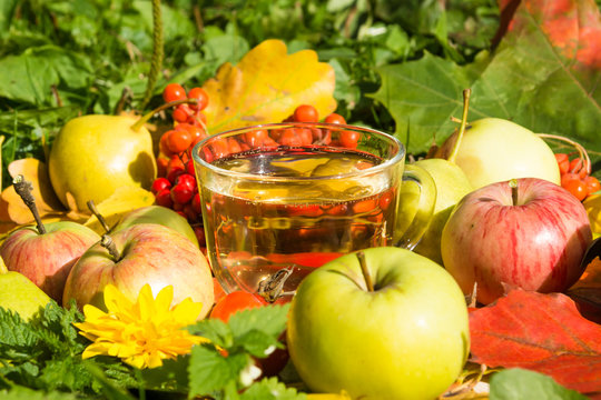 A glass of homemade apple juice on a background of autumn leaves, rowan berries and ripe apples