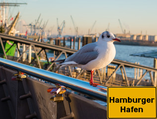 Schild Hamburger Hafen