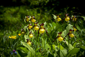 Obraz premium Wilder Kaiser, Alpen, Aufstieg, Kufstein