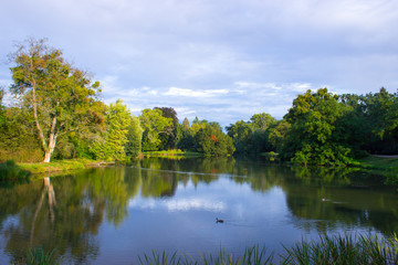 Fototapeta na wymiar A pond with trees