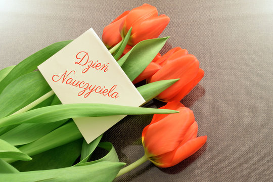 Dzień Nauczyciela - 14 października