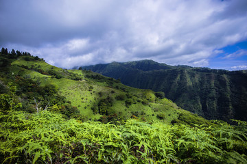Fototapeta na wymiar paysage tropical dans les îles du pacifique 