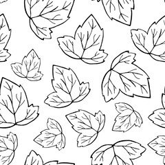 outlined leaf pattern