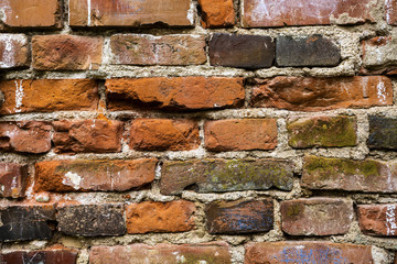 Fototapeta premium Brick wall. Color red-brown. Background.