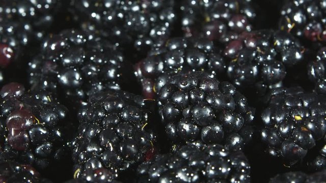Rotating closeup view of blackberries