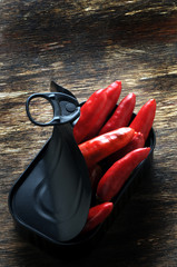 Capsicum