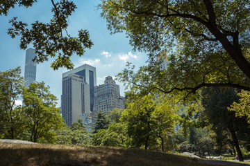 Central Park