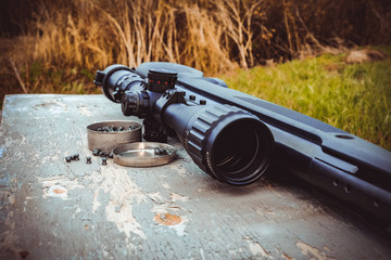 pellets and airgun 
