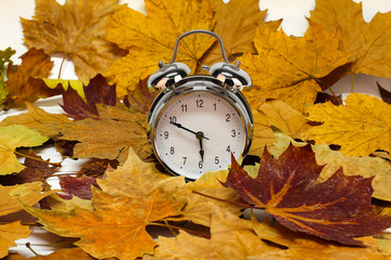 Autumn Still Life / Alarm clock and autumn leaves