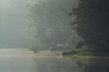 Lądowanie © Tomek Kiecana