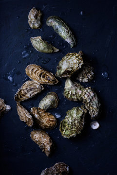 Assortment Of Freshly Caught Seafood, Oysters Feast. Top View.