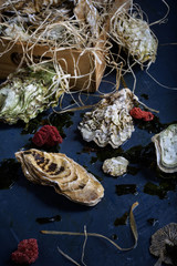 Oysters in a box, seafood market.