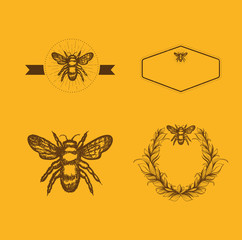 Bee and Honey Logo Design Template Set