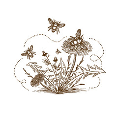 Bee With Flowers Vintage Drawing