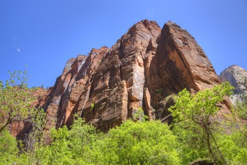 Sunshine Reflects off the Varnish of the Sandstone at Zion Canyon