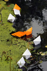 Paper boats stuck in weeds in a backwater