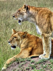 Kenya