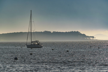 Sailboat At Atlantic Ocean, Punta del Este, Uruguay