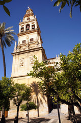 Tower of Mezquita - Cathedral in Cordoba surrounded by trees of Orange Garden