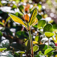 Autumn colors background